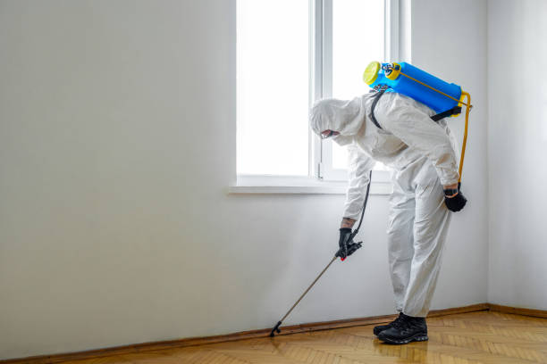Best Pest Control Near Me in Kettle Falls, WA