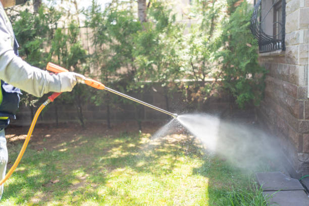 Best Pest Inspection Near Me  in Kettle Falls, WA