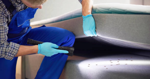 Best Mosquito Control Services  in Kettle Falls, WA