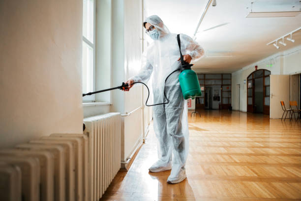 Best Local Pest Control Services  in Kettle Falls, WA