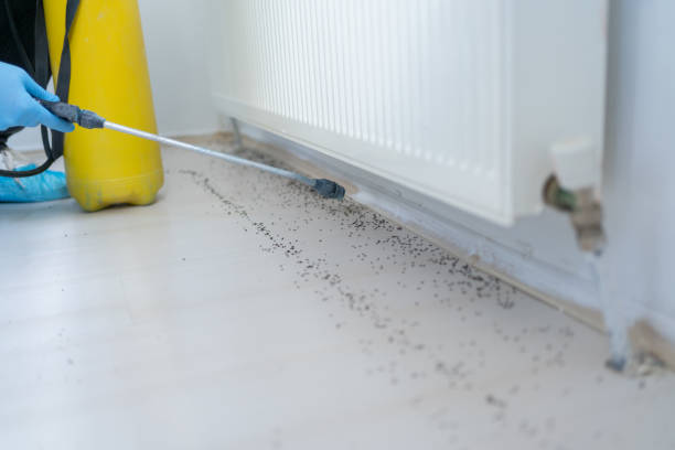 Best Commercial Pest Control Services  in Kettle Falls, WA